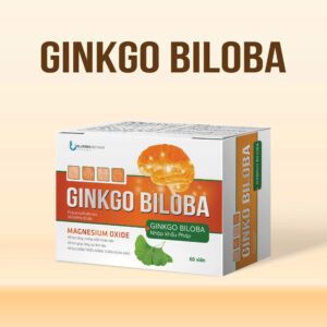 Ginkgo Biloba