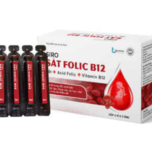 Siro Sắt Folic B12